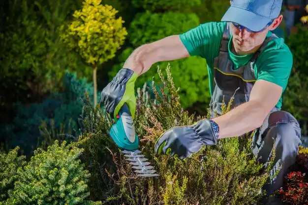 landscaping services Bevier